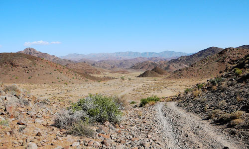 Dry Richtersveld Landscape